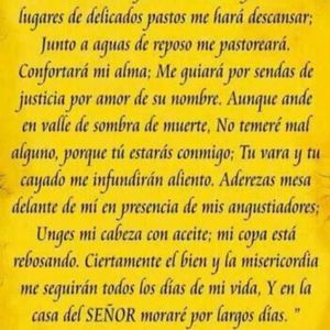 Meet your Posher, Rosa